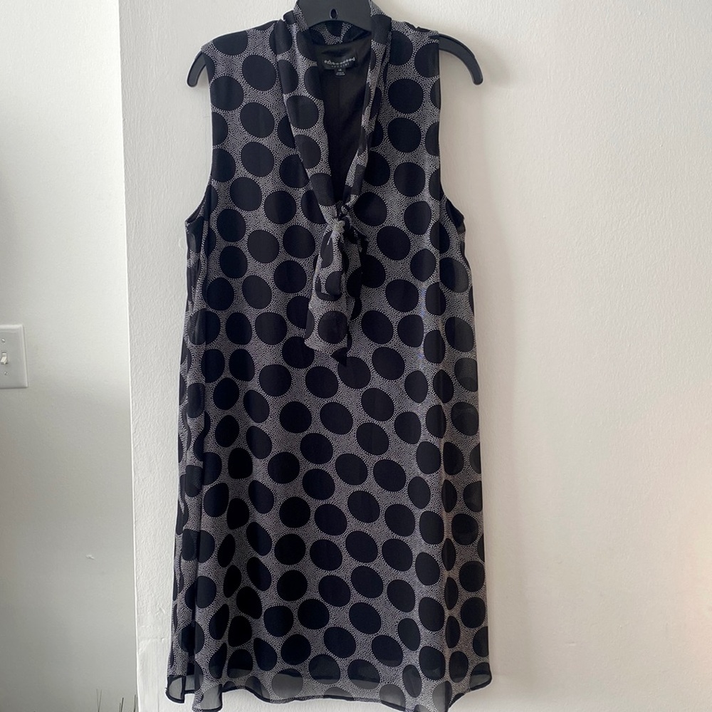 Polka Dot Dress